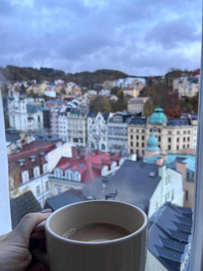 Sunny City - Apartment In Spa Zone With Private Garage Karlovy Vary Luaran gambar